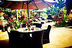 Auntie Kali's Cottage