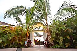 Auntie Kali's Cottage