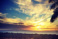 Auntie Kali's Cottage