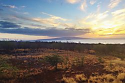 Auntie Kali's Cottage