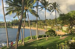 Napili Shores A204