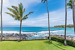 Napili Shores A204