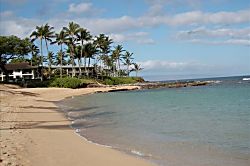Napili Shores A204
