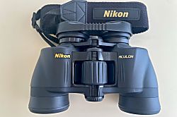 Hawaiian Monarch Penthouse