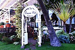 Hawaiian Monarch Penthouse