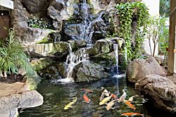 Waikiki Banyan 1 Bedroom