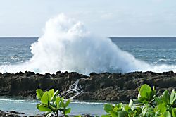Turtle Bay Resort 2 Bedroom