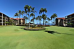 Papakea resort condo E-205