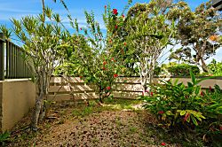 Hale Niu - Coconut House