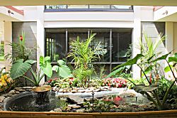 Valley Isle Resort 309