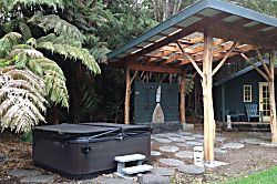 Volcano Big Tree Sanctuary