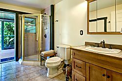 Volcano Big Tree Sanctuary