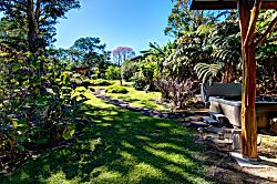 Volcano Big Tree Sanctuary