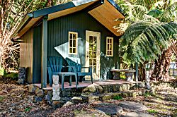 Volcano Big Tree Sanctuary