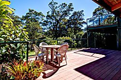 Volcano Big Tree Sanctuary