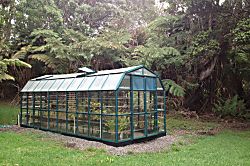 Volcano Big Tree Sanctuary