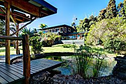 Volcano Big Tree Sanctuary