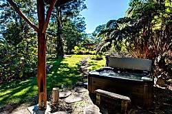 Volcano Big Tree Sanctuary