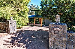 Volcano Big Tree Sanctuary