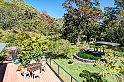 Volcano Big Tree Sanctuary