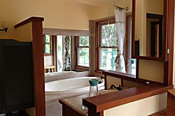 Volcano Big Tree Sanctuary