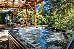 Volcano Big Tree Sanctuary