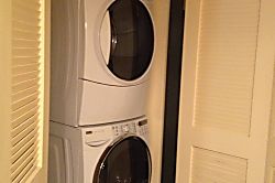 Volcano Big Tree Sanctuary