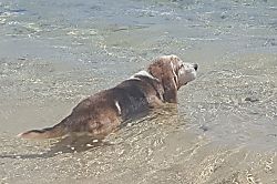 Nihilani 19 A  Tutu's Getaway