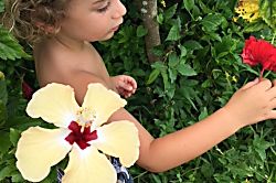 Nihilani 19 A  Tutu's Getaway