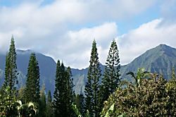 Charming Garden Retreat