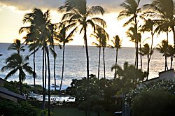 Wailea Ekahi 44A