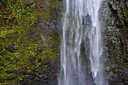 Kiahuna Plantation #243 (building 37)