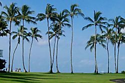 Kiahuna Plantation #243 (building 37)