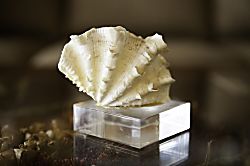 Sandpiper Village 229A