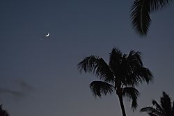 Sandpiper Village Princeville Studio 