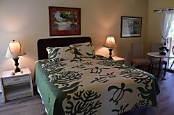 Sandpiper Village Princeville Studio 