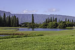 Sandpiper Village 229B 