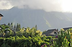 Sandpiper Village 229B 