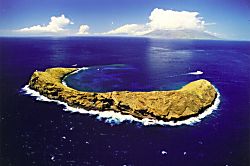 Maui Vista Condo Across Charlie Young Beach