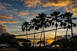 Kaanapali Royal F303