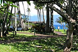 Napili Shores I building