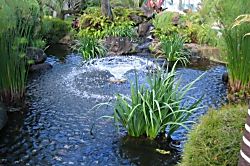 Napili Shores I building