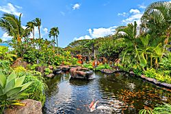 Napili Shores D127