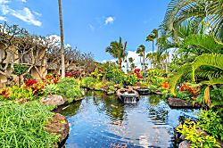 Napili Shores D127