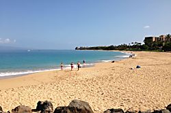 Maui Kaanapali Villas 180