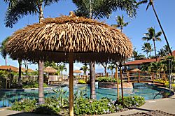 Maui Kaanapali Villas 180