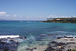 Napili Shores Unit A-201