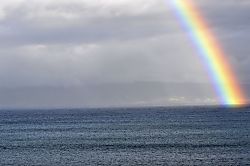 Napili Shores Unit A-201