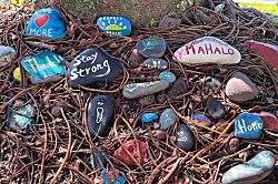 Napili Shores Unit A-201