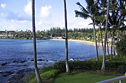 Napili Shores Unit A-201